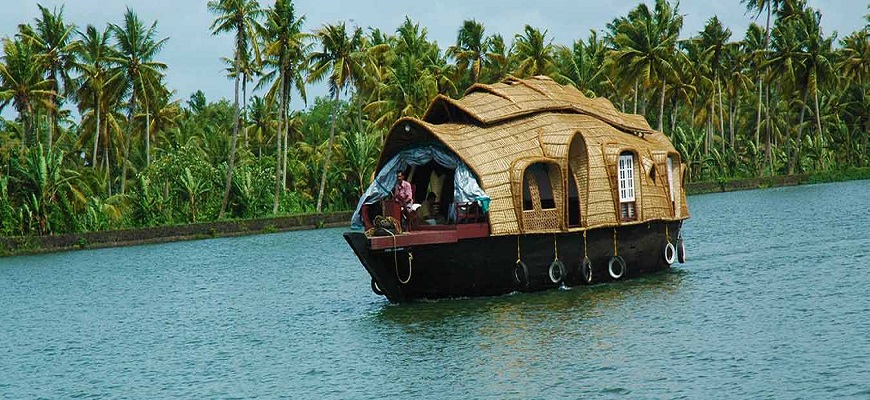 Kerala Honeymoon Tour - V